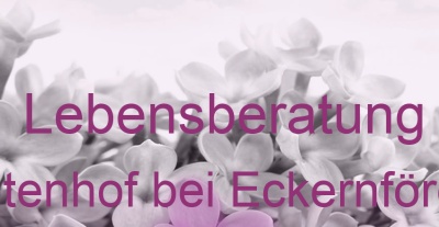 Lebensberatung Altenhof bei Eckernförde | Top-Experten für Kartenlegen, Wahrsagen, Hellsehen, Zukunftsdeutung. Lebensberatung Altenhof bei Eckernförde | Top-Experten für Kartenlegen, Wahrsagen, Hellsehen, Zukunftsdeutung.